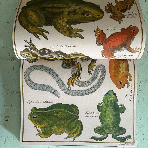 🆕 John Derian JUMBO XL Coffee Table Book NWT
SEALED - Picture 8 of 12